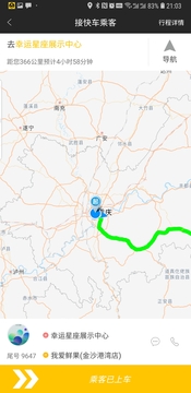 摇摇司机
