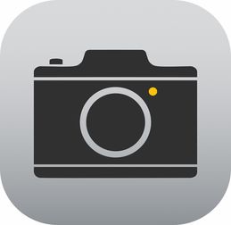 Proframe原质专业相机App
