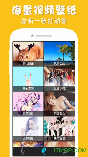 安卓主题壁纸