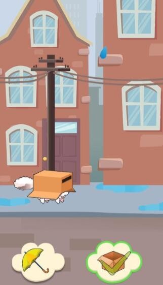 猫咪爱情故事Cat Love Story