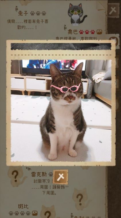 猫咪和秘密森林(SecretCatForest)