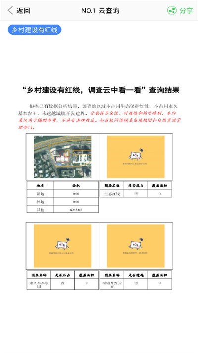 云中查