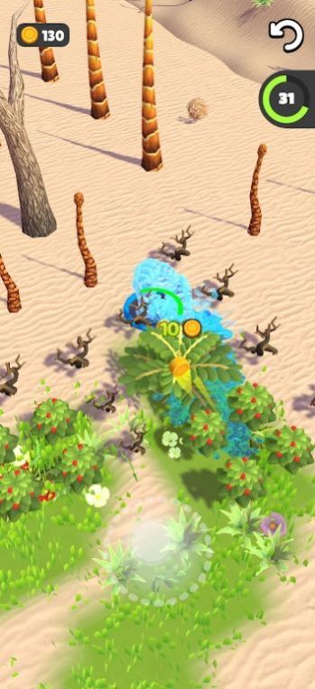 水坑种树Water Hole