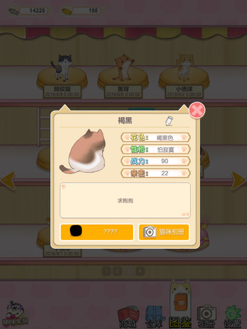猫宅日记 猫宅日记