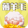 羊毛来了