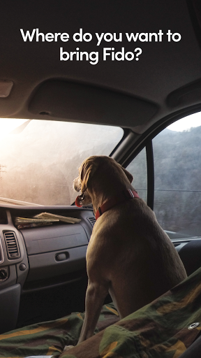 BringFido宠物酒店