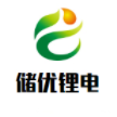 储优动力