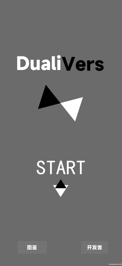 二元领域Dualiverse