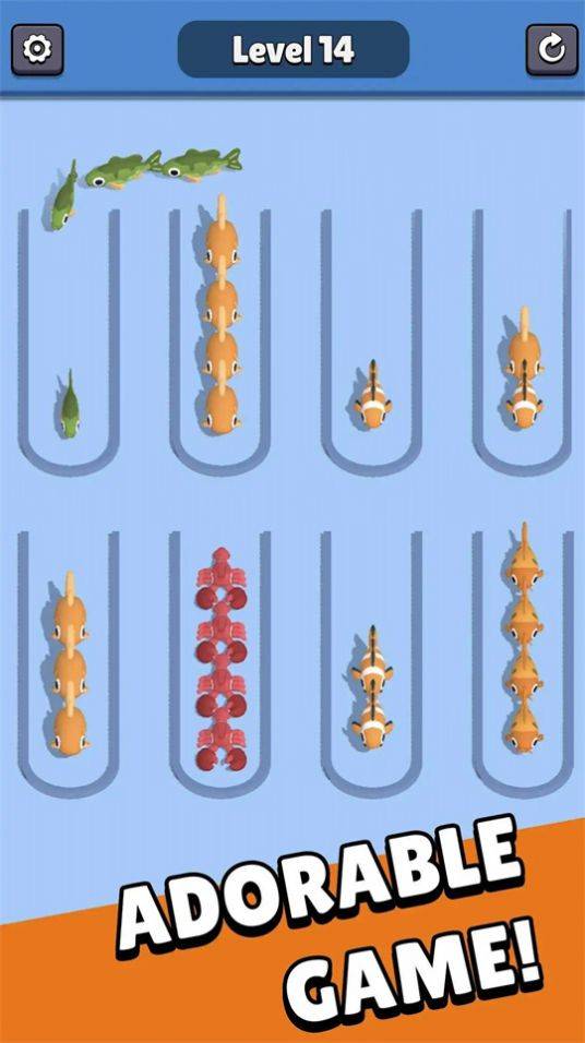 动物园排序3DZoo Sort 3D