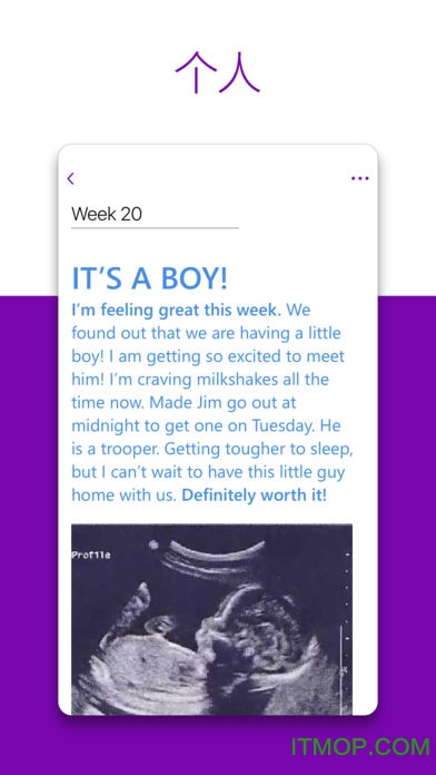Microsoft OneNote图片转文字