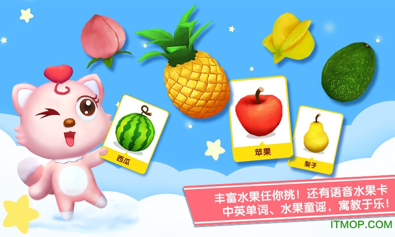 猫小帅水果拼盘