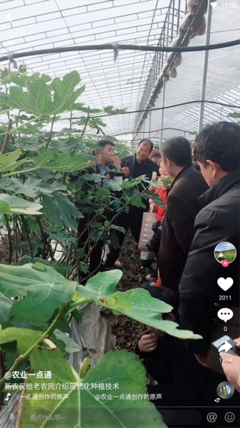 农兜网手机版
