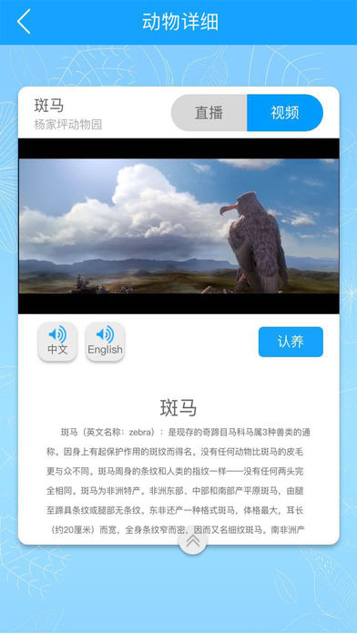 动物联萌