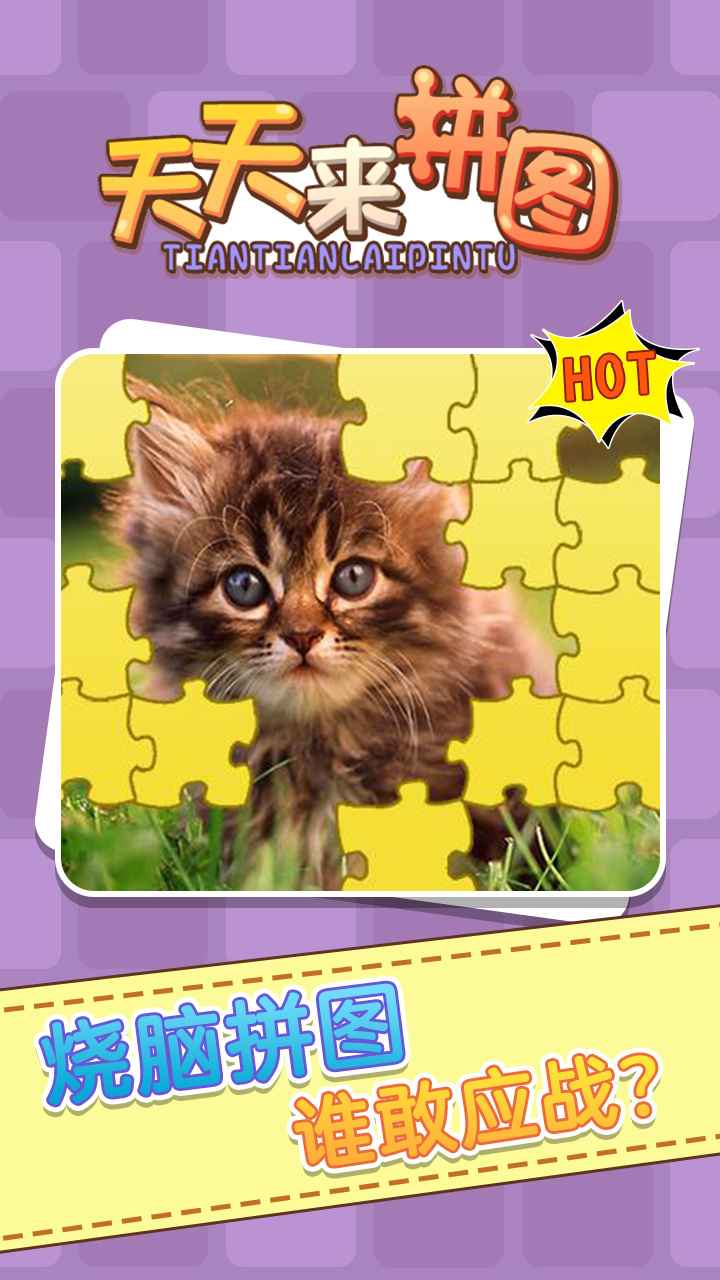 天天来拼图