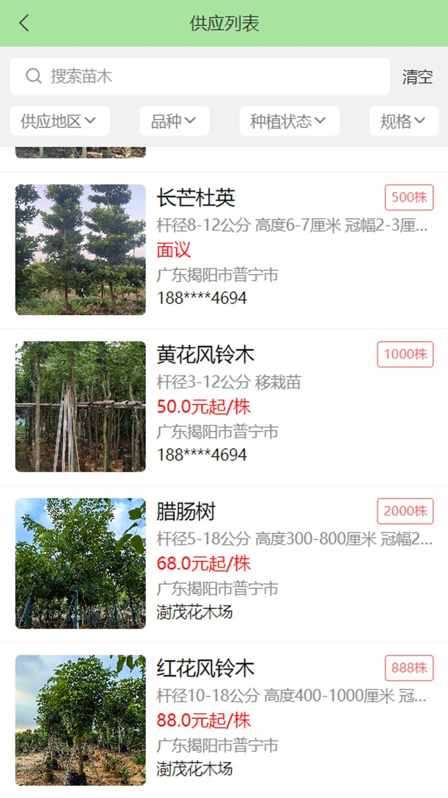 点苗报价 点苗报价