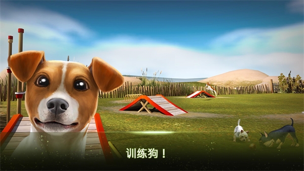 我的寄宿狗屋游戏