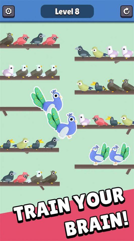 动物园排序3DZoo Sort 3D