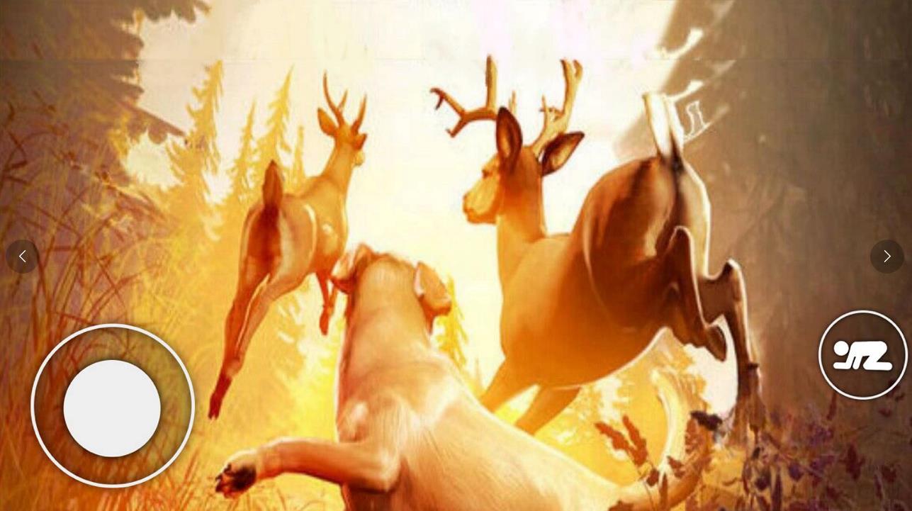 恐怖森林猎人 恐怖森林猎人