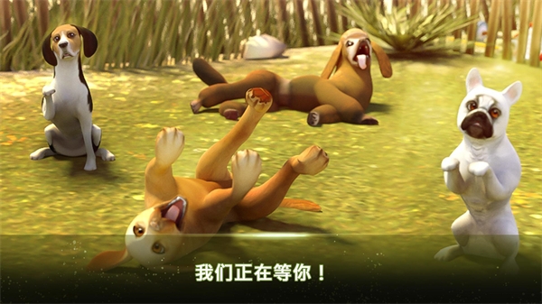 我的寄宿狗屋游戏