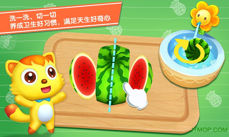 猫小帅水果拼盘