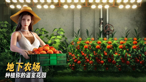 Last Fortress安装器