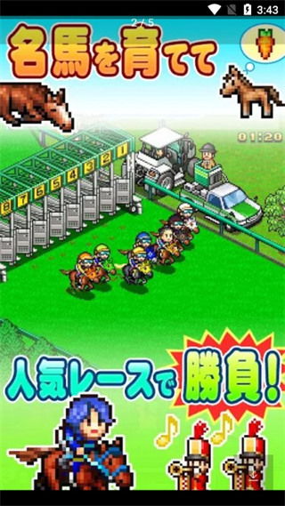 顶级跑马牧场 顶级跑马牧场