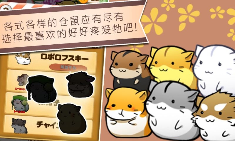 仓鼠的日常无限起司(Hamster Life)