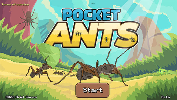 Pocket Ants安装器