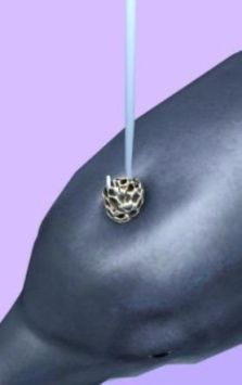 鱼诊所Fish Clinic