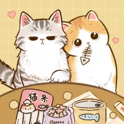 养猫日记