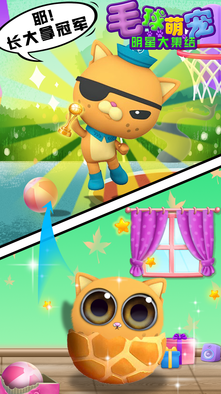 毛球萌宠明星大集结