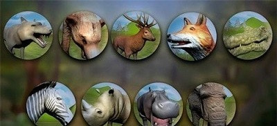 野鹿猎人Wild Deer hunter