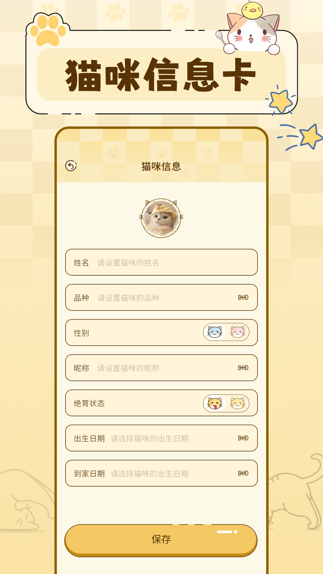 养猫日记