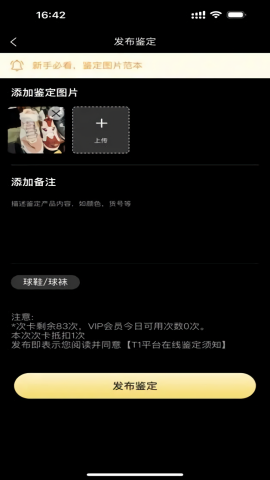 T1鉴定 T1鉴定