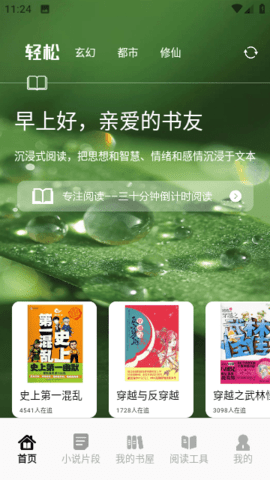 追书大师轻享版