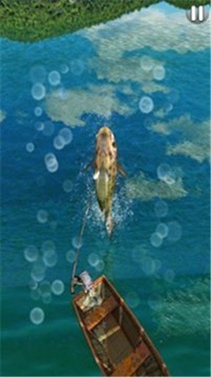 终极钓鱼3D手游(Fishing) 终极钓鱼3D手游(Fishing)