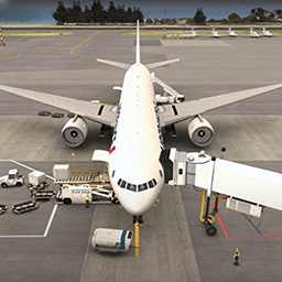 真实飞机模拟体验