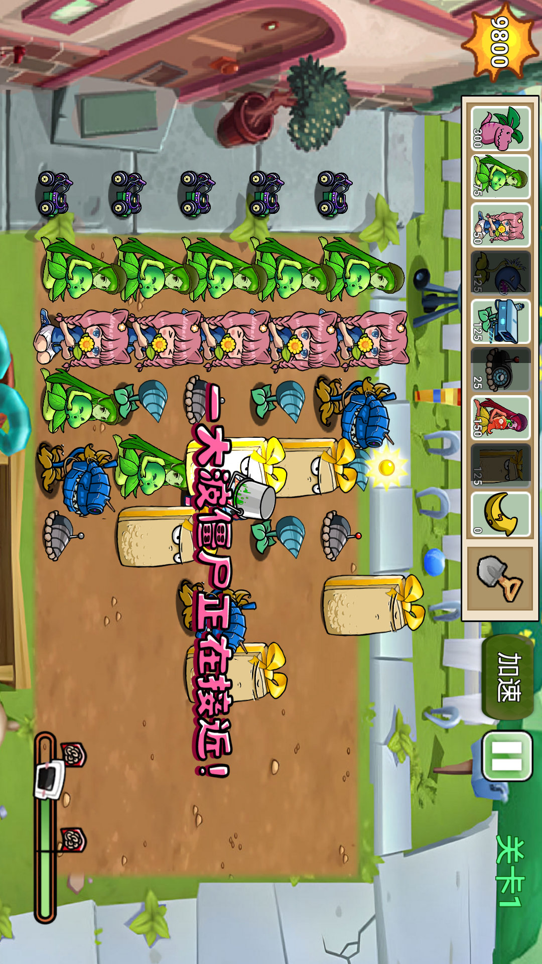 杂交植物战争派对