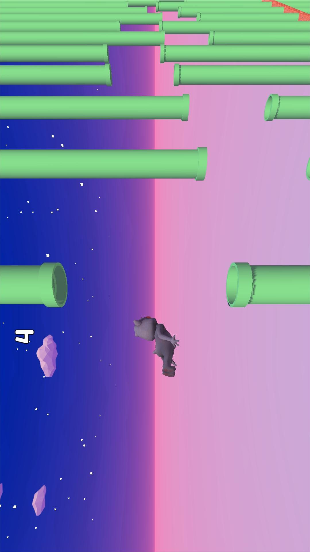 会说话的胡安猫