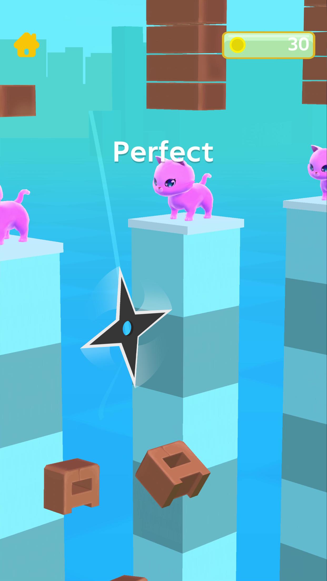 别切到猫咪啊Dont slice the Cats