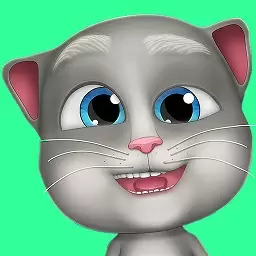 会说话的胡安猫