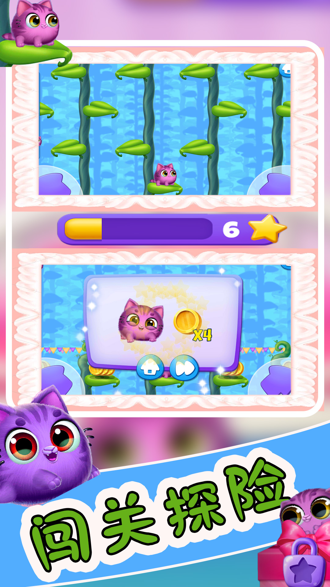 爱宠小屋成长录