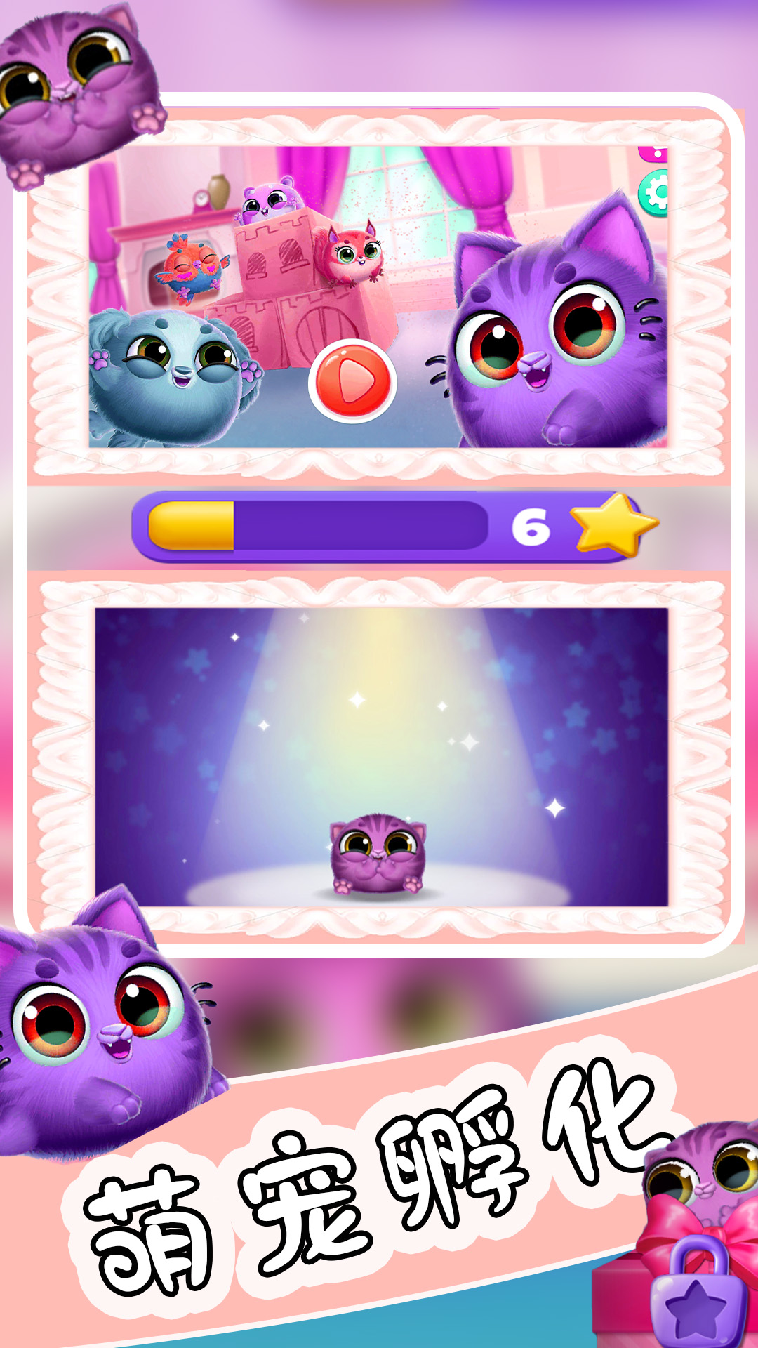 爱宠小屋成长录