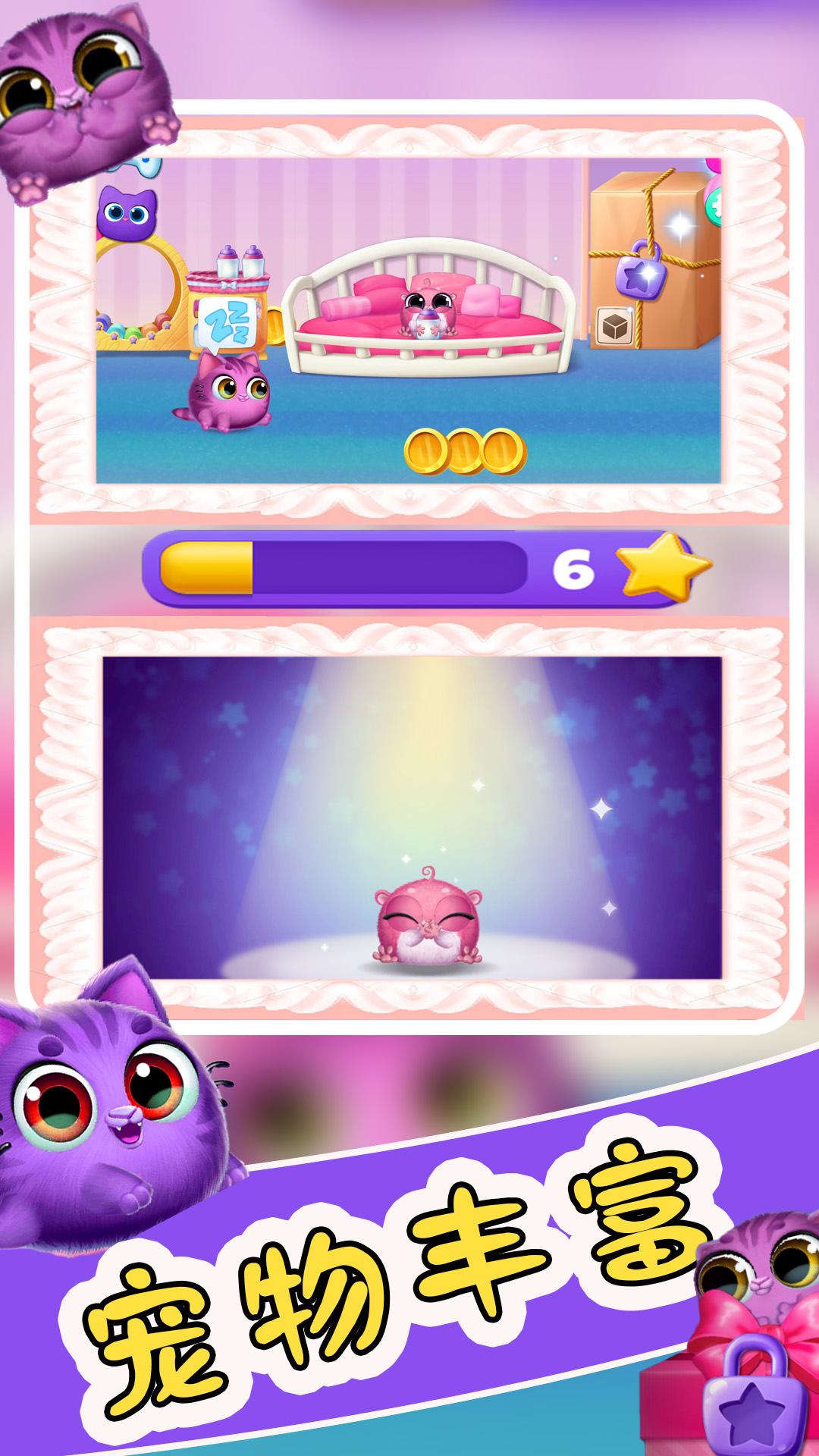 爱宠小屋成长录