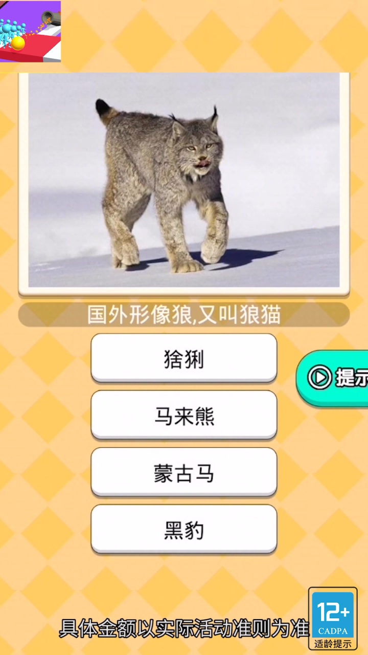 小哥哥别走3D