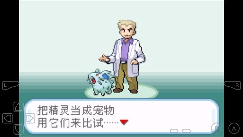 口袋妖怪：叶绿中文珍藏版