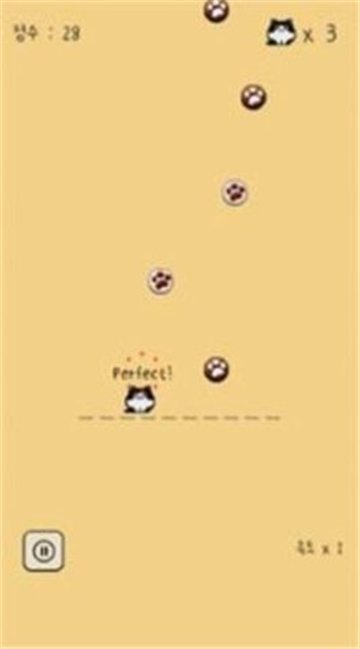 本喵王饿了铲屎官给我吃的