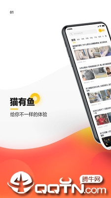 有鱼
