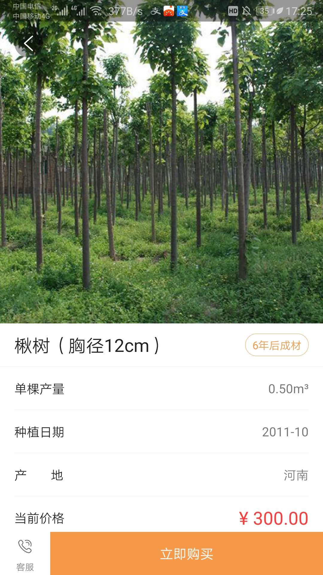 元林数字