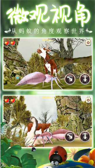 模拟蚂蚁大作战 模拟蚂蚁大作战